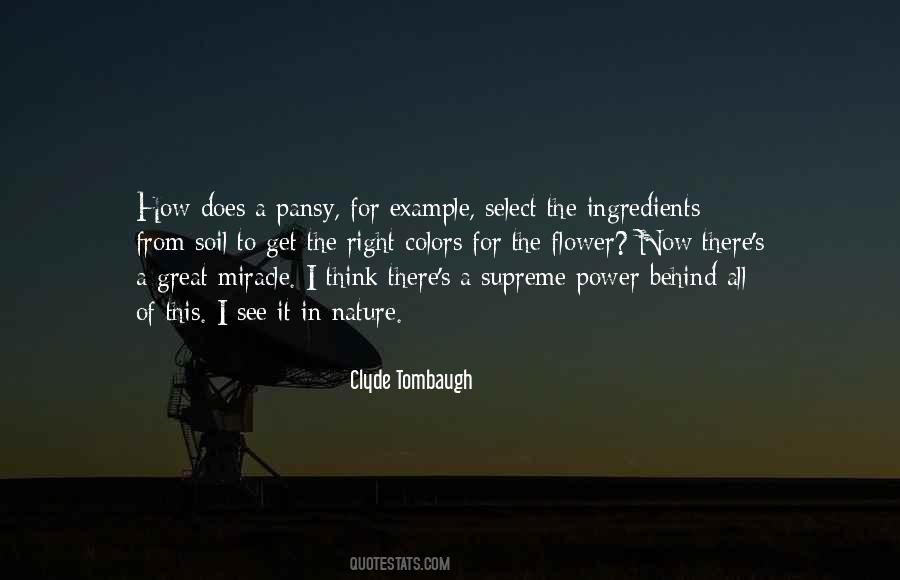 Behind Nature Quotes #960372
