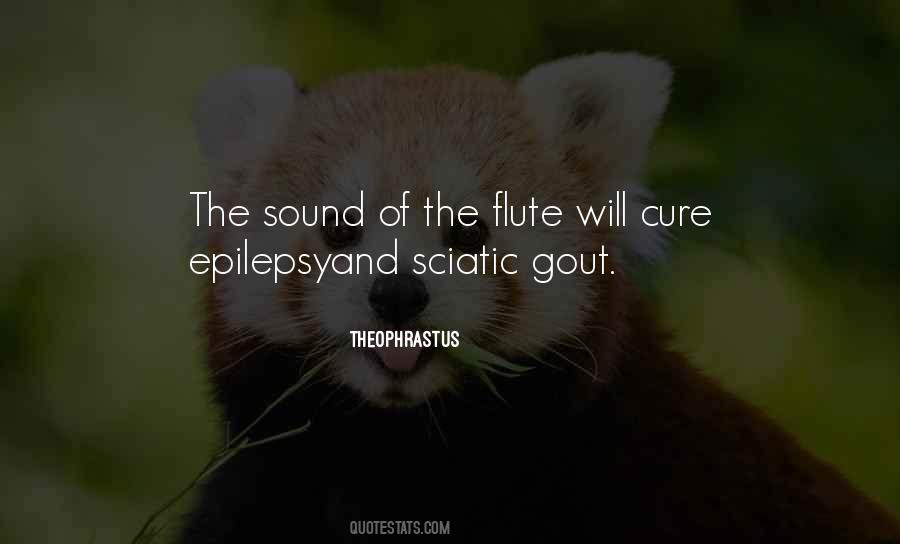 Flute Sound Quotes #494563