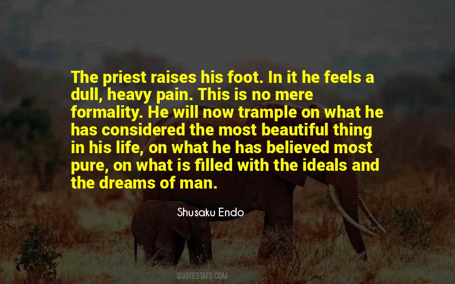 Pain Is Beautiful Quotes #1225670