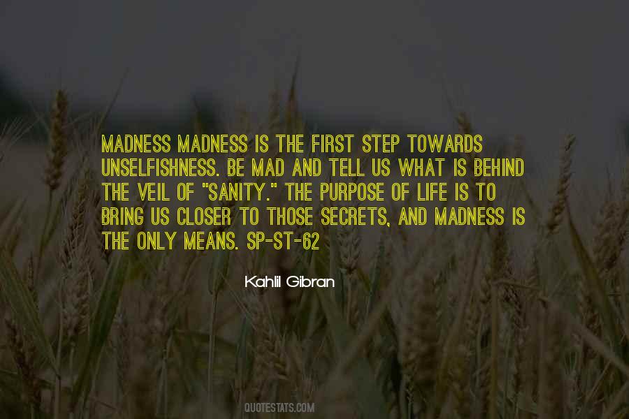 Madness Sanity Quotes #207133