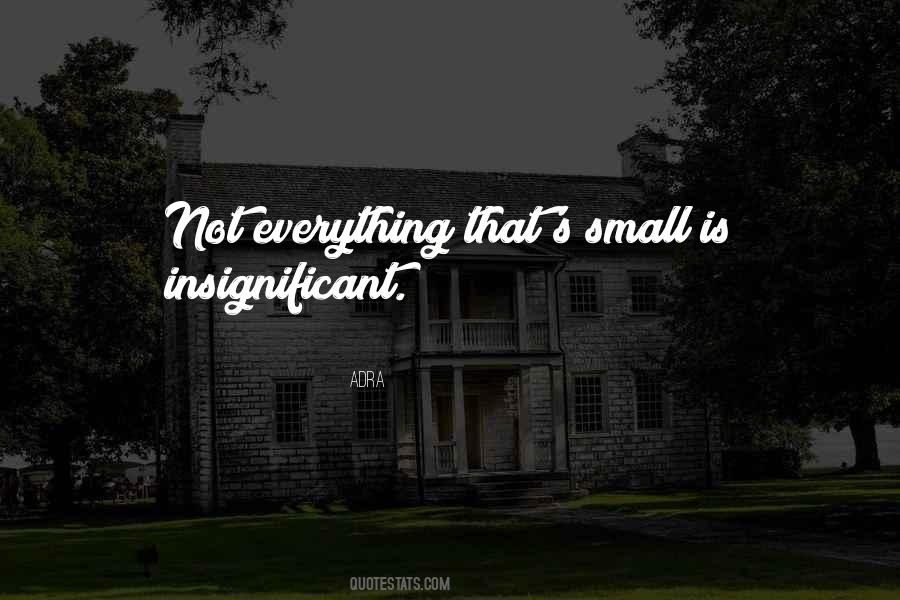 Insignificant Life Quotes #275960