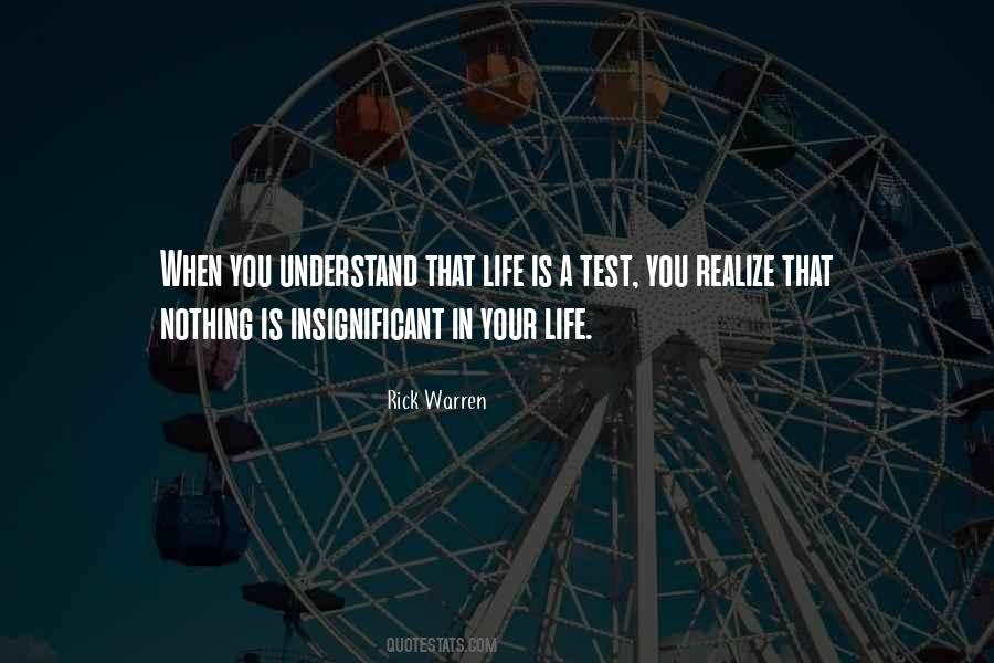 Insignificant Life Quotes #991464