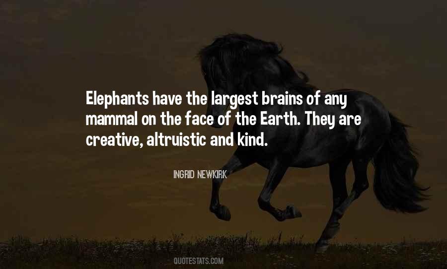 Have The Brains Quotes #1252896