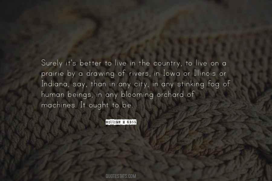 Be A Better Human Quotes #1147410