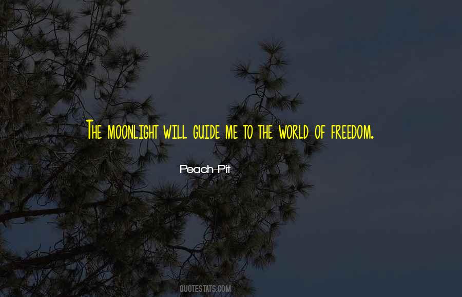 Be Your Own Guide Quotes #49007