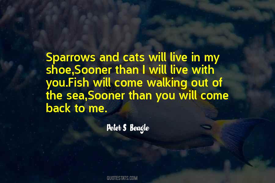 Back To The Sea Quotes #51729