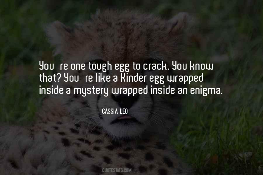 Wrapped Up In An Enigma Quotes #1634786
