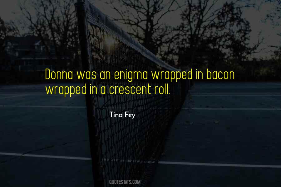 Wrapped Up In An Enigma Quotes #1750097