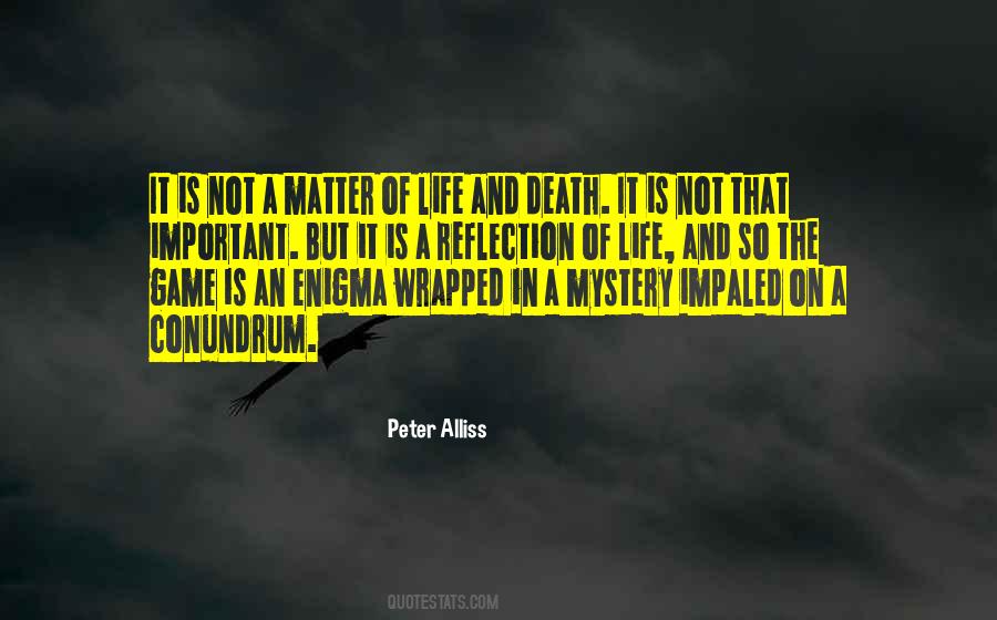 Wrapped Up In An Enigma Quotes #804063