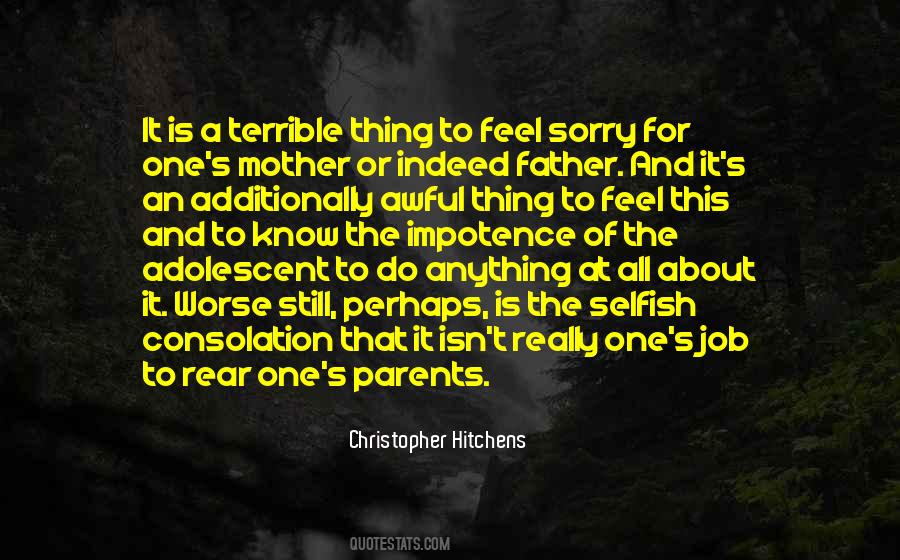Sorry About It Quotes #849564
