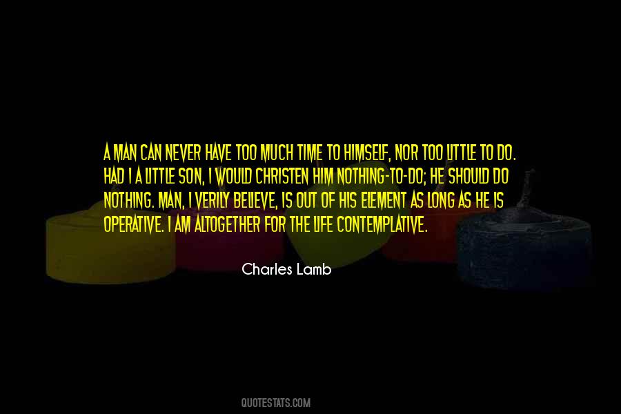 Nothing Is Too Much Quotes #1614942