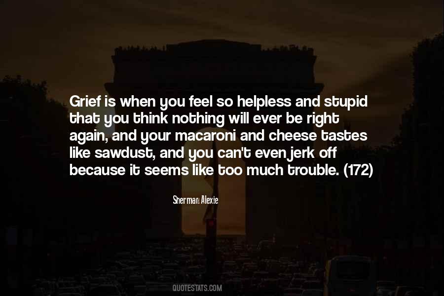 Nothing Is Too Much Quotes #997655