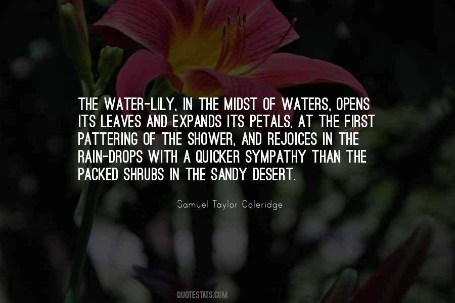 Desert Water Quotes #1012078