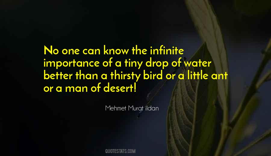Desert Water Quotes #775335