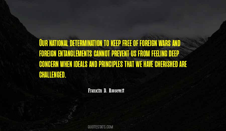 Foreign Entanglements Quotes #343377