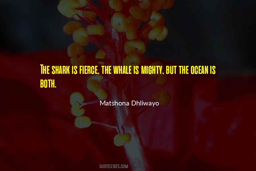 Nature Ocean Quotes #881513