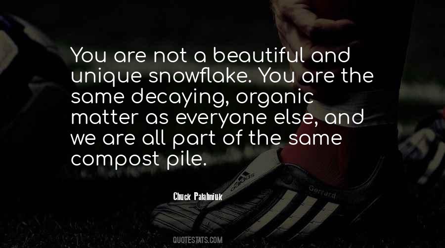 Not As Beautiful As You Quotes #604347