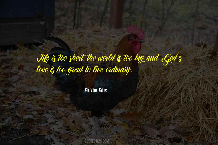 Love The Ordinary Quotes #1045989