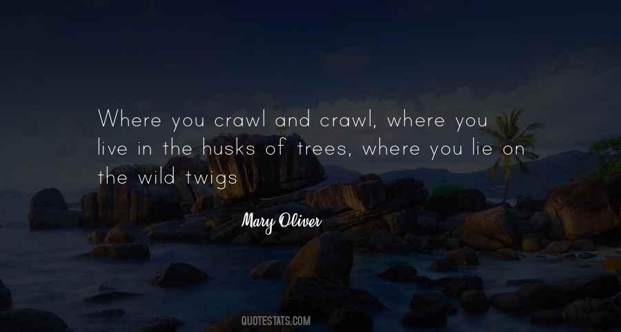 Wild Trees Quotes #549782