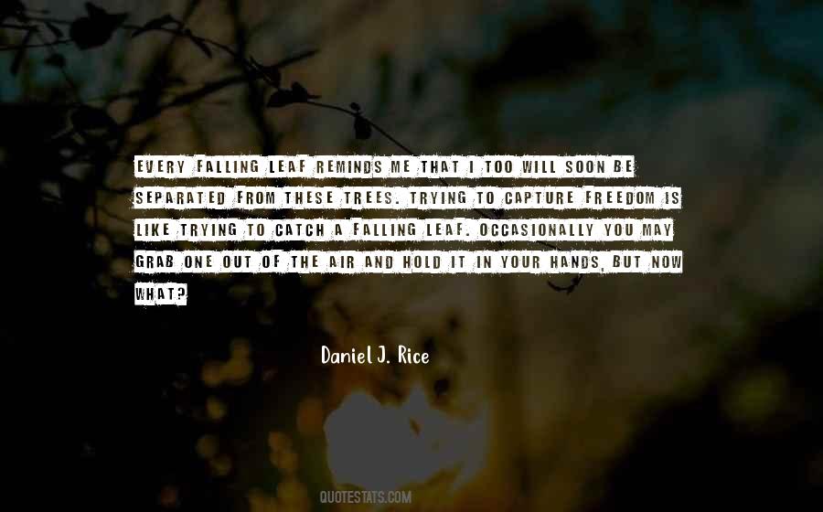 Wild Trees Quotes #67928