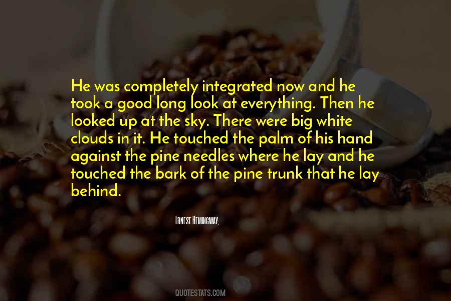 Look Up In The Sky Quotes #1132711