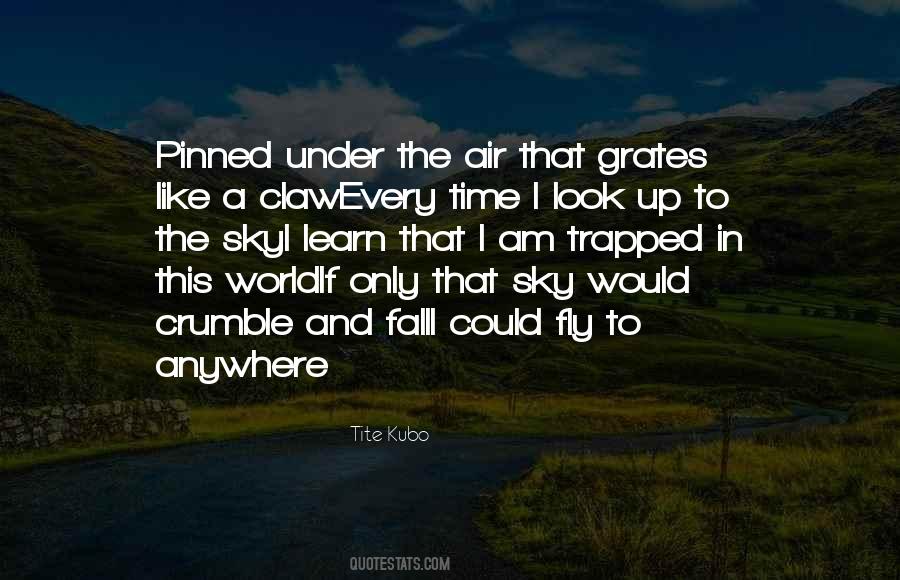 Look Up In The Sky Quotes #411954