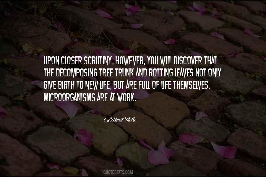 Quotes About Life And Leaves #379678