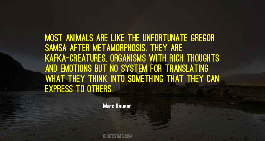 Quotes About The Metamorphosis #921718