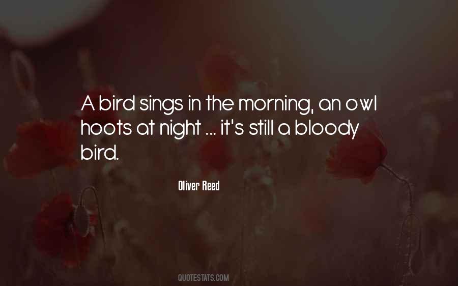 Owl Bird Quotes #197391