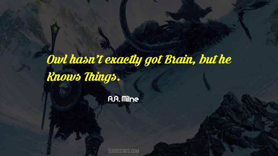Owl Bird Quotes #389656