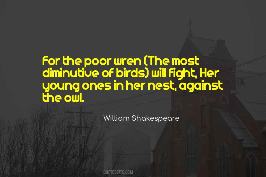 Owl Bird Quotes #447324