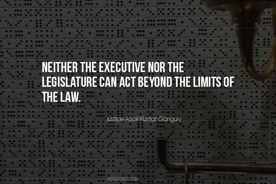 Beyond The Limits Quotes #658403