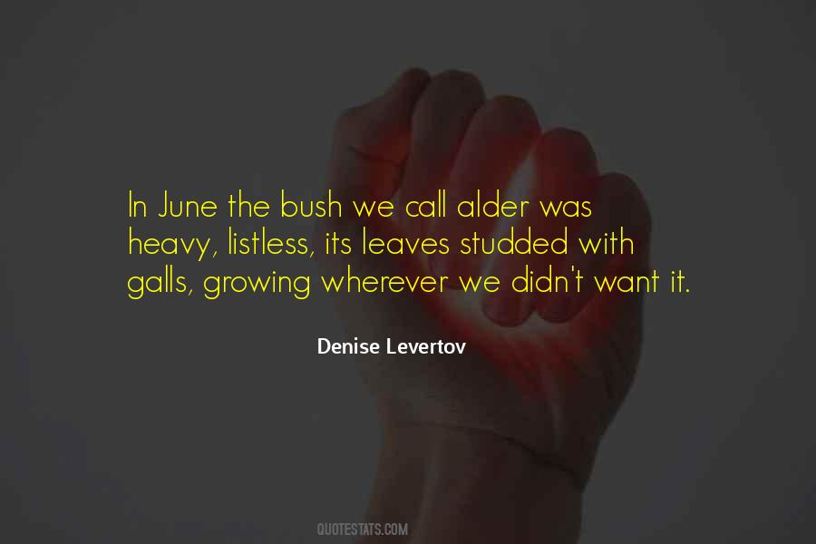 Its Heavy Quotes #1383141