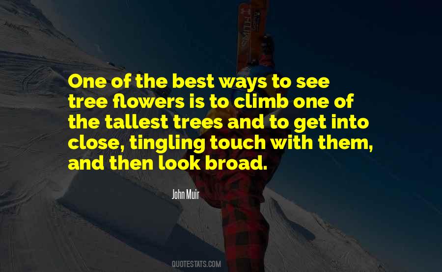 Quotes About The Tallest Trees #1336348