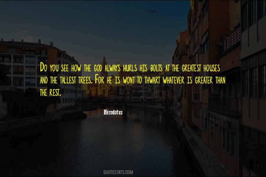 Quotes About The Tallest Trees #440600