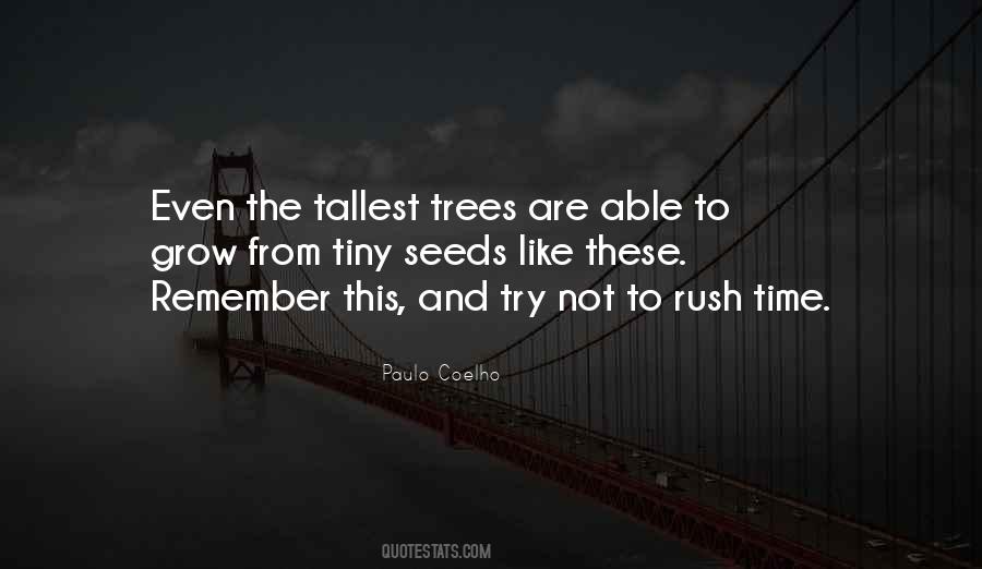 Quotes About The Tallest Trees #808365