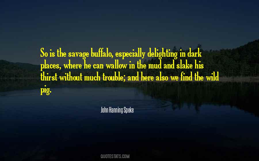 Pig In Mud Quotes #1433470
