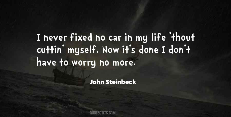 My Life Goes On Quotes #1378272
