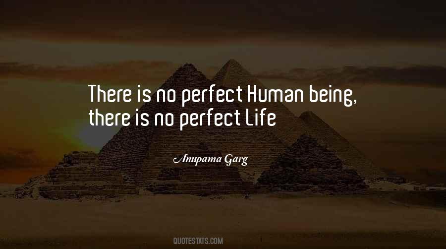 There Is No Perfect Life Quotes #1718693