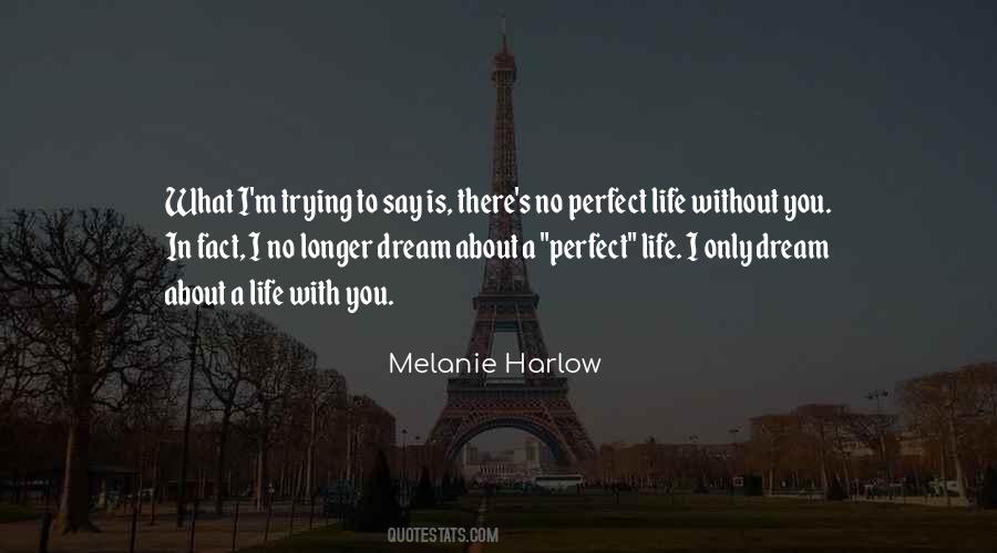 There Is No Perfect Life Quotes #927723
