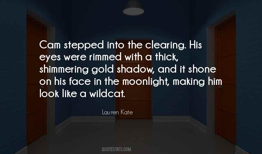 Face And Eyes Quotes #80855