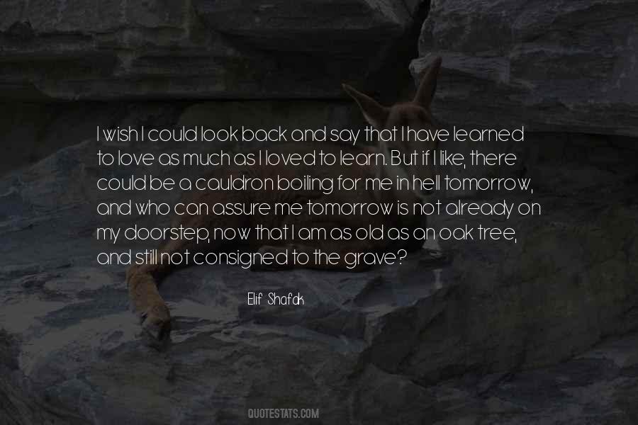 Look Back And Learn Quotes #904693