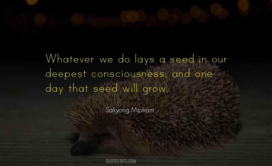 One Seed Quotes #991398