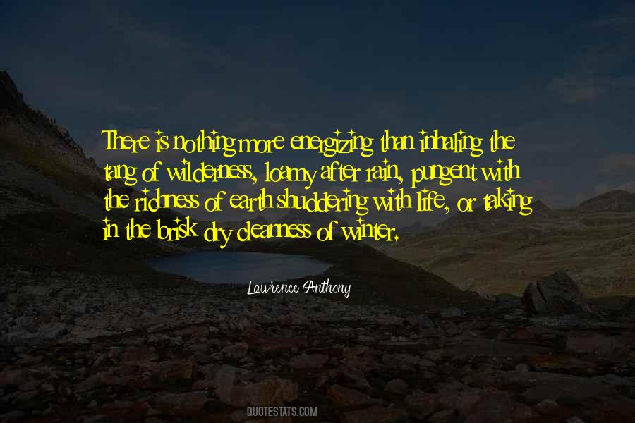 More Rain Quotes #1193700