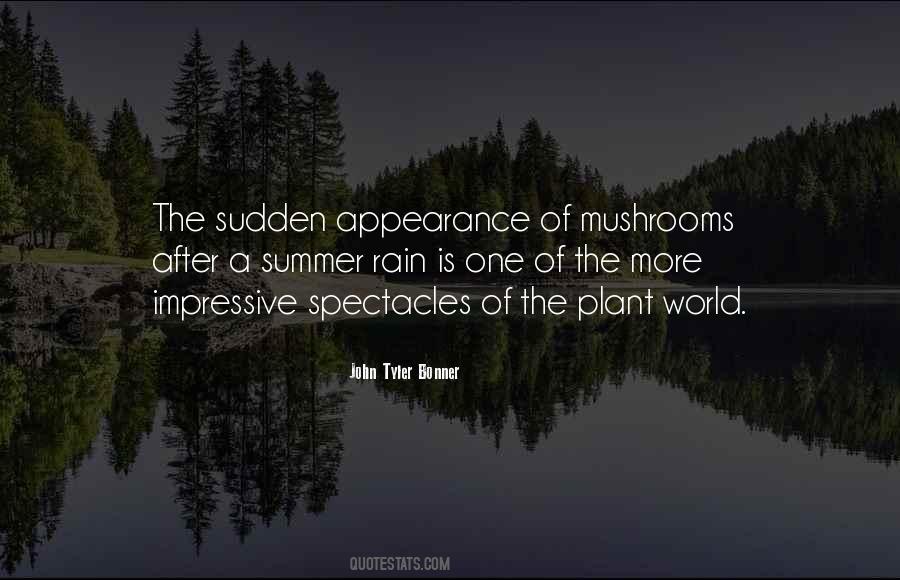More Rain Quotes #727677