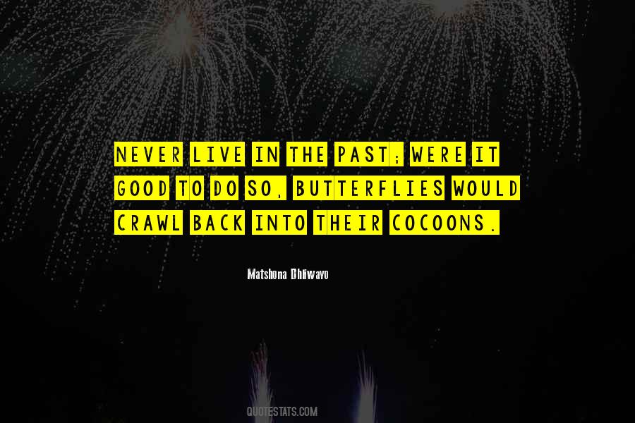 To Live In The Past Quotes #1289901