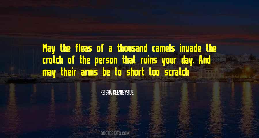 Happy Humor Quotes #827016