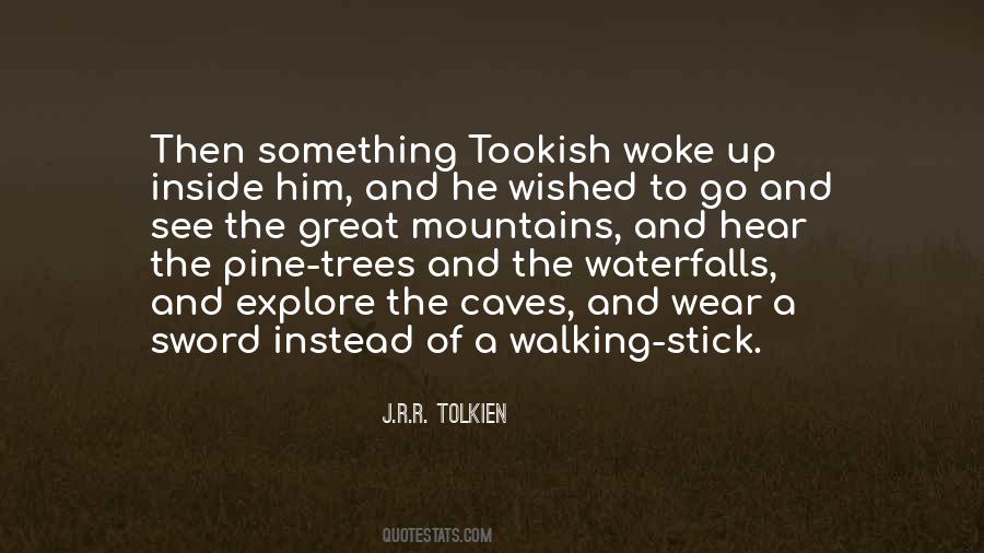 Quotes About Walking In The Mountains #904023