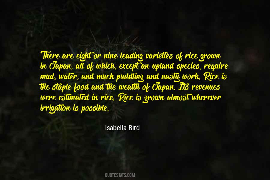 Wealth Without Work Quotes #653152