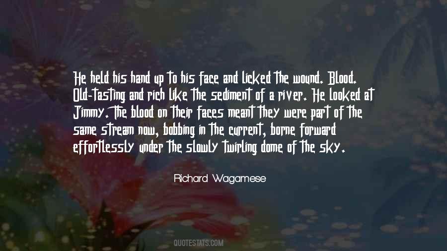 Blood Sky Quotes #1015323